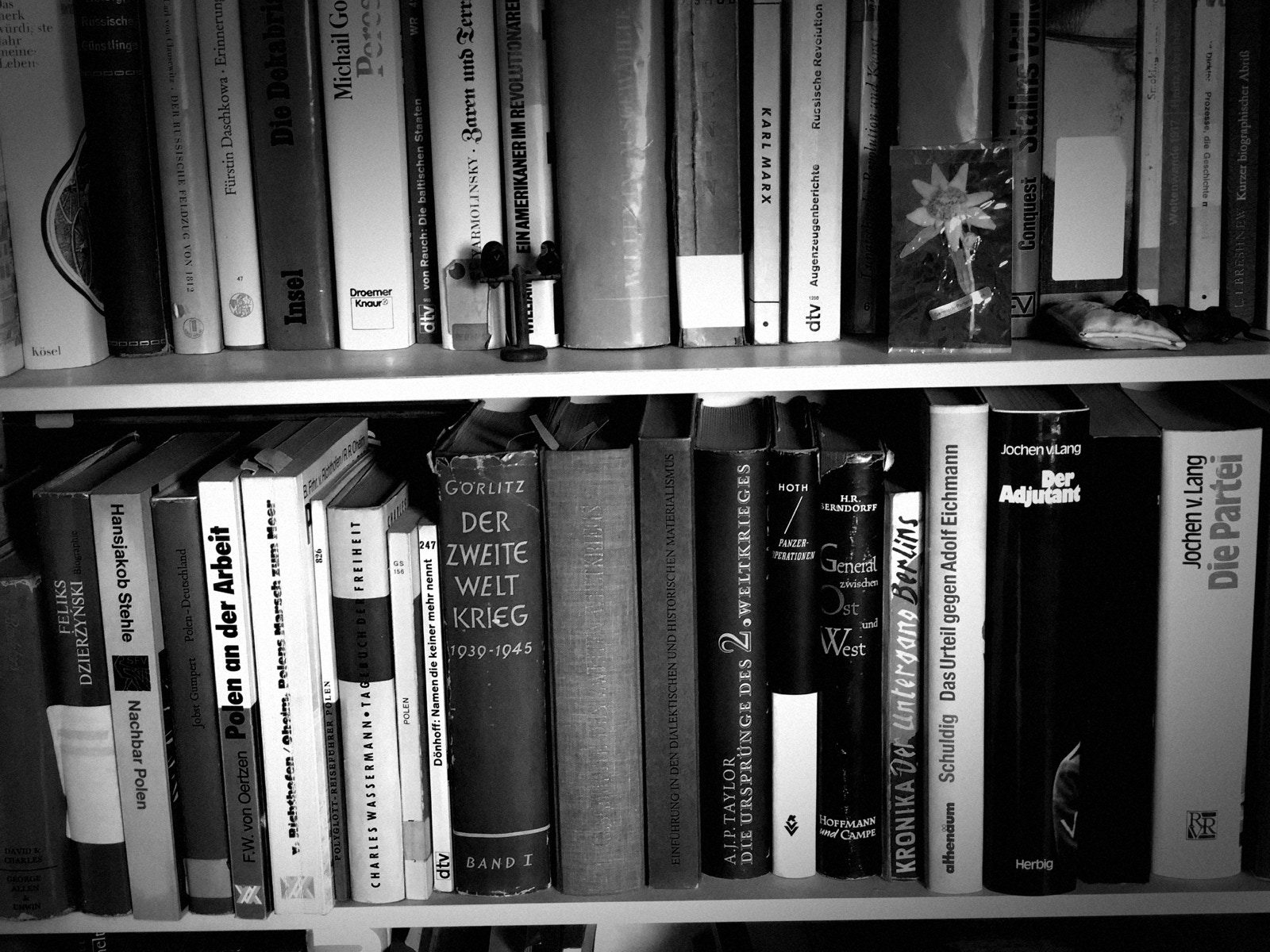 Bücherregal mit Werken zur Zeitgeschichte