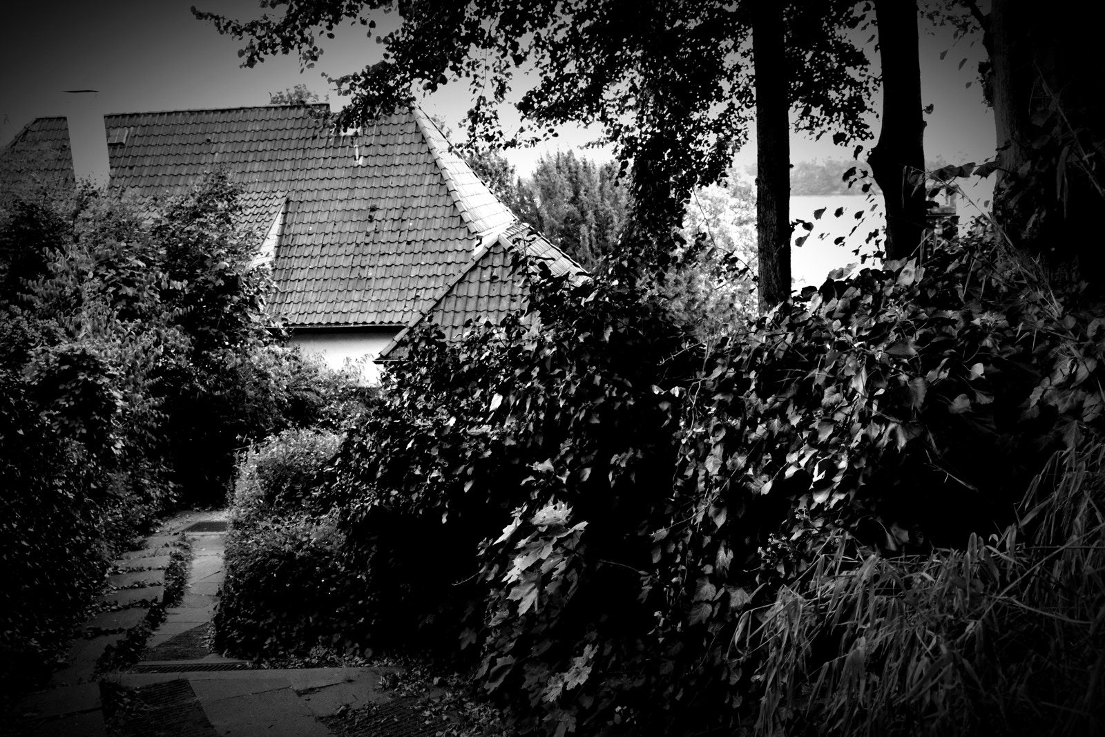 Haus mit Garten, im Hintergrund die Elbe